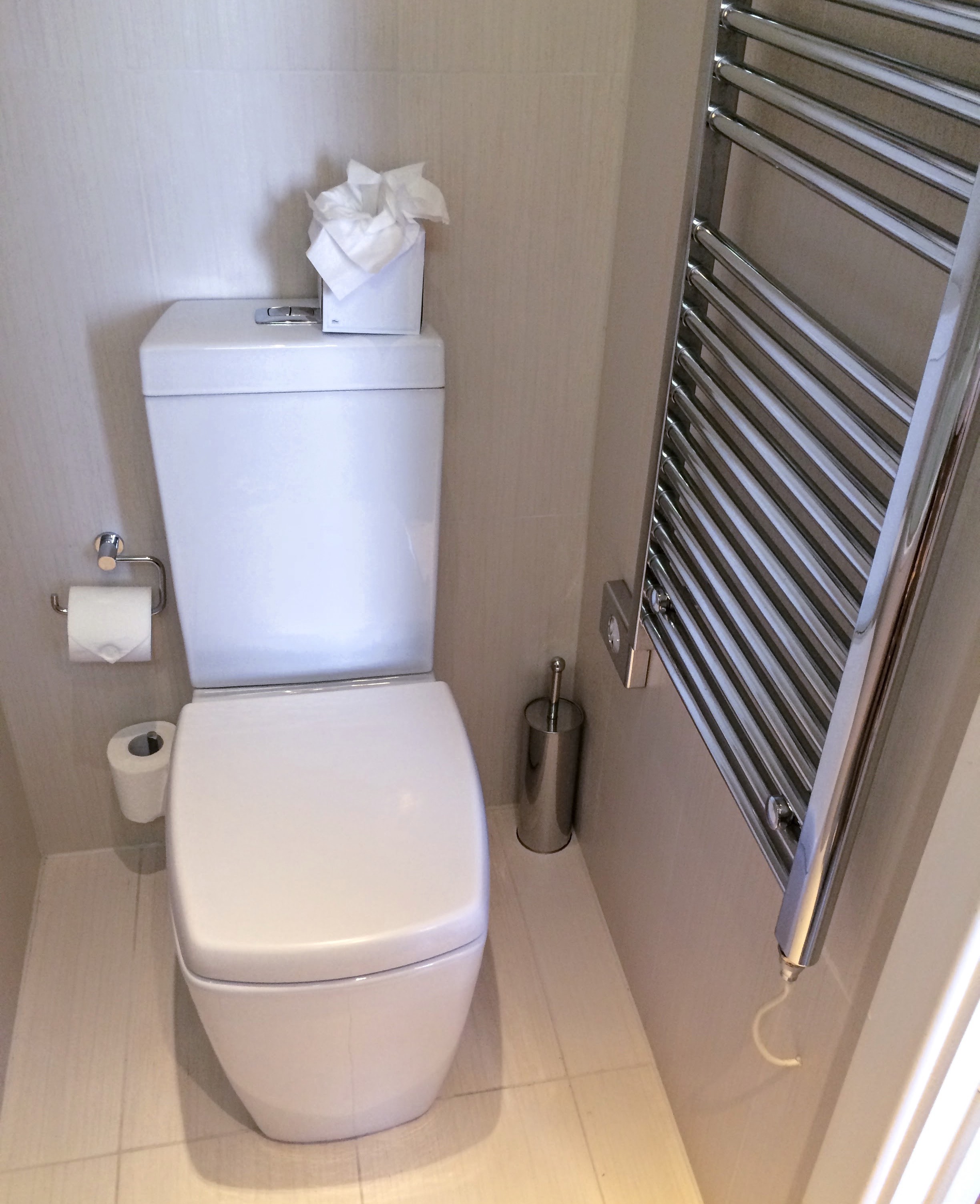 Urban Shine cleaning Toilet